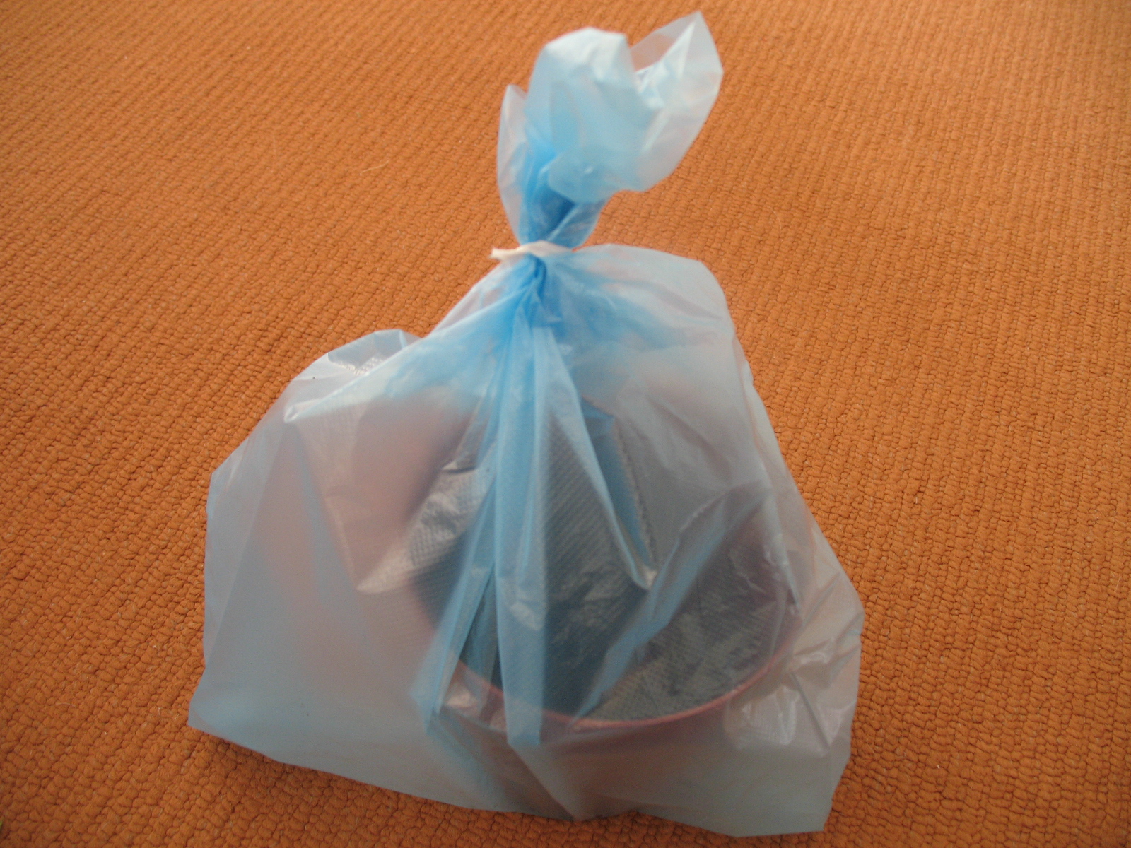 ginger-in-plastic-bag