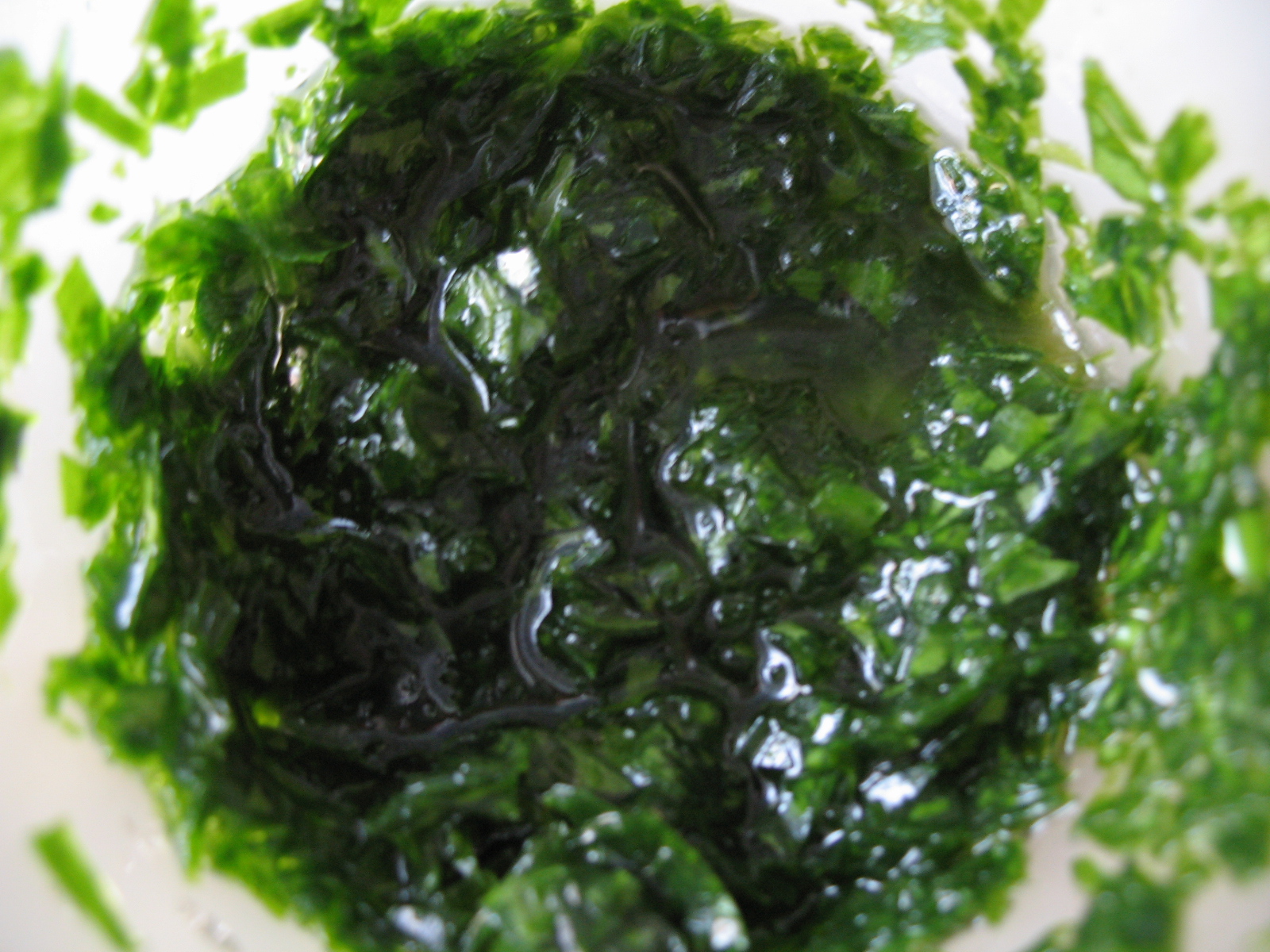 ramson-pesto-003