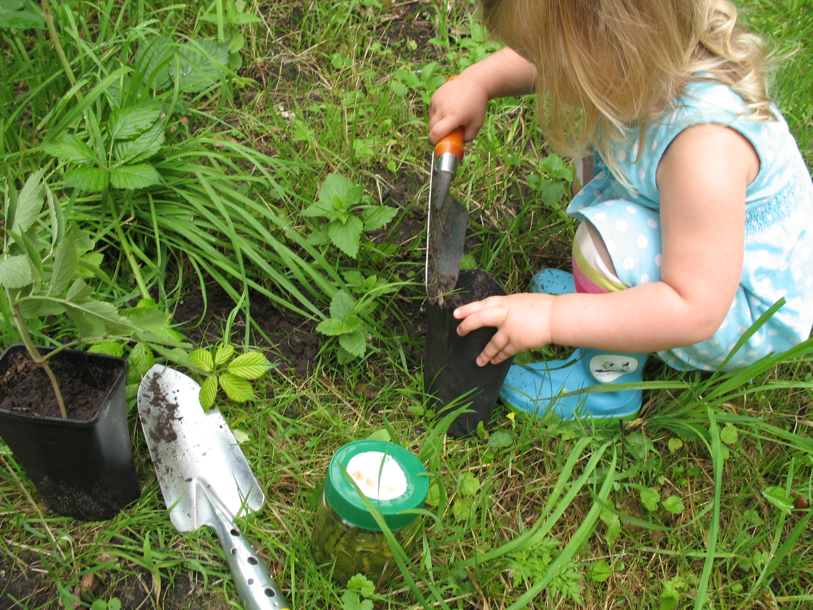 making-elder-babies-003