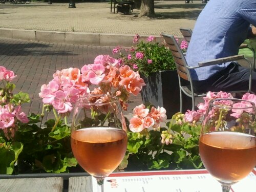 2012-08-05 12.51.21.jpg image