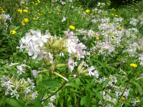 2012-08-05 15.00.26.jpg image