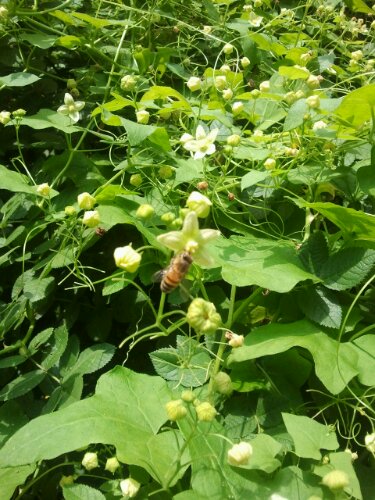 2012-08-05 15.01.28.jpg image