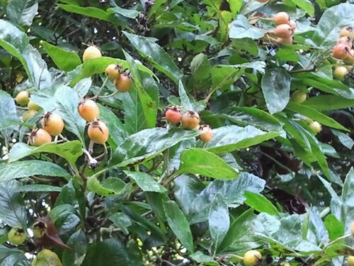 2012-10-07 10.35.10.jpg image