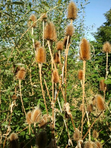 2012-10-07 10.43.48.jpg image