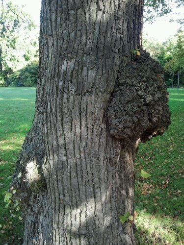 2012-10-07 10.53.12.jpg image