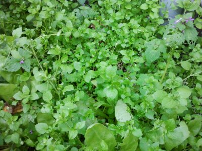 2012-11-12 16.00.16.jpg image