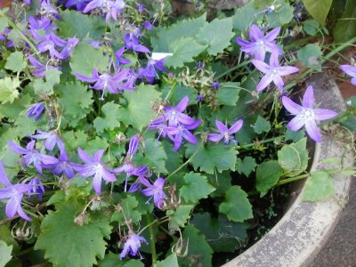 2012-11-14 12.01.02.jpg image