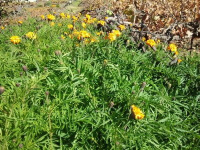 2012-12-23 15.01.01.jpg image