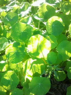 2012-12-23 15.29.25.jpg image