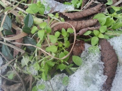 2013-01-23 13.23.55.jpg image