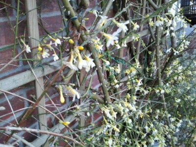 2013-01-25 17.16.19.jpg image