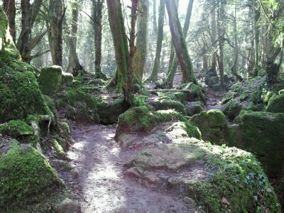 2013-02-19 13.50.27.jpg image