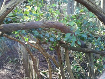 2013-02-19 14.04.24.jpg image