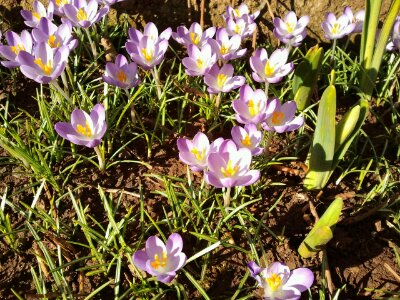 2013-02-19 14.13.45.jpg image