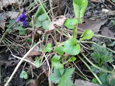 2013-03-06 16.38.15.jpg image