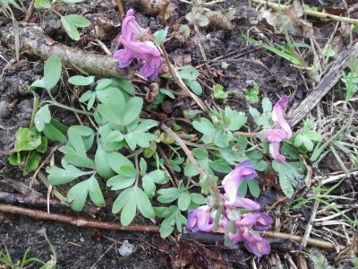 2013-04-09 15.34.29.jpg image