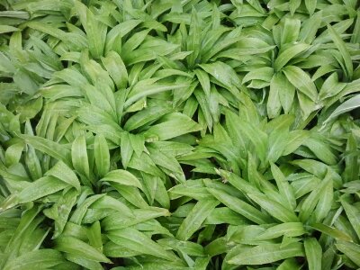 2013-04-09 16.22.49.jpg image