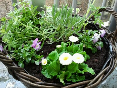 wpid-2013-04-11-09-22-20