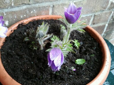 wpid-2013-04-11-09-22-53