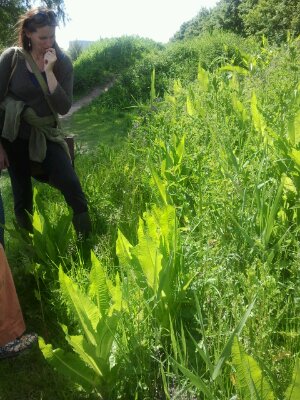 2013-06-02 15.55.34.jpg image