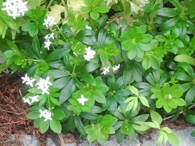 2013-06-02 16.39.54.jpg image