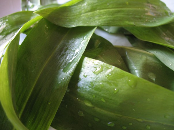 Featured Image -- 15472